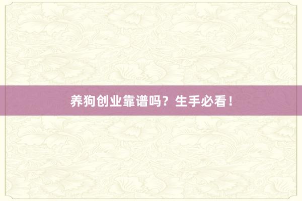 养狗创业靠谱吗？生手必看！
