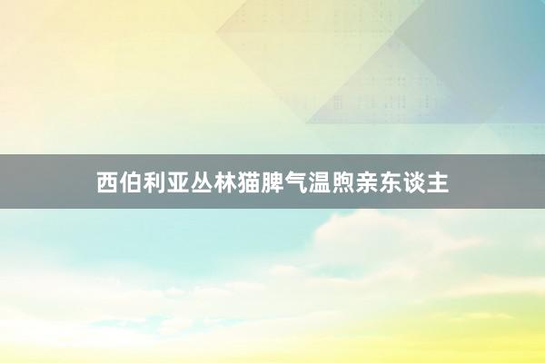 西伯利亚丛林猫脾气温煦亲东谈主