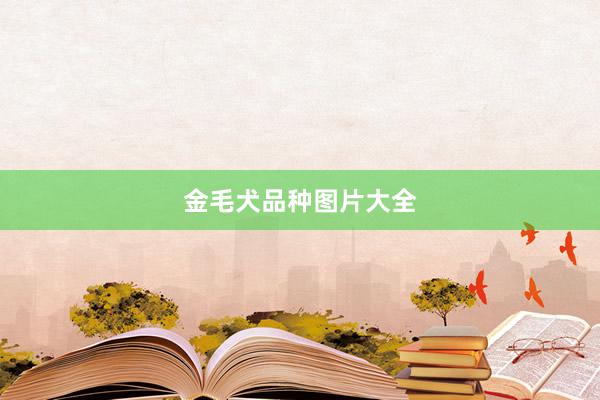 金毛犬品种图片大全